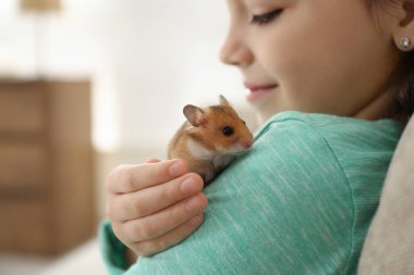 Küçük kız elinde tatlı bir hamster tutuyor, yakın plan.