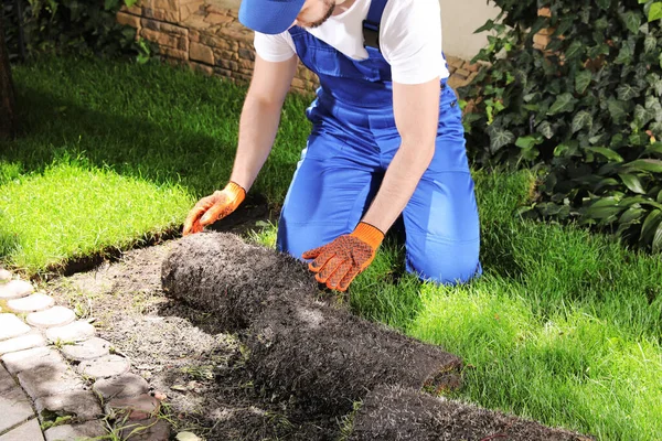 Jardinero Tendiendo Césped Patio Trasero Primer Plano —  Fotos de Stock