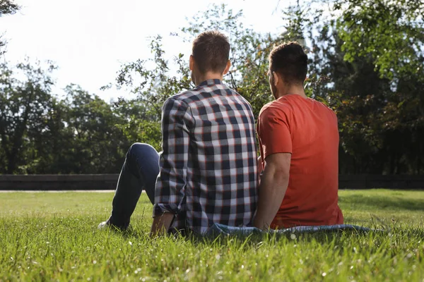 Homosexuella Par Sitter Grönt Gräs Parken Bakifrån — Stockfoto