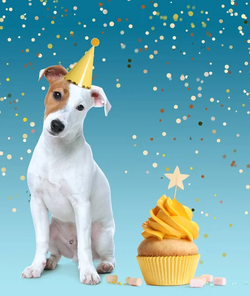 Lindo Perro Con Sombrero Fiesta Delicioso Cupcake Cumpleaños Sobre Fondo — Foto de Stock