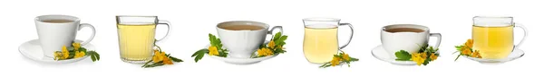 Állítsa Csésze Aromás Celandine Tea Fehér Alapon Bannertervezés — Stock Fotó