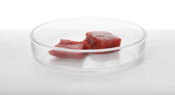 白を背景にテーブルの上に生の培養肉の一片とペトリ皿 — ストック写真