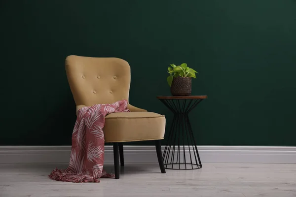Cadeira Confortável Bela Planta Perto Parede Verde Escuro Dentro Casa — Fotografia de Stock