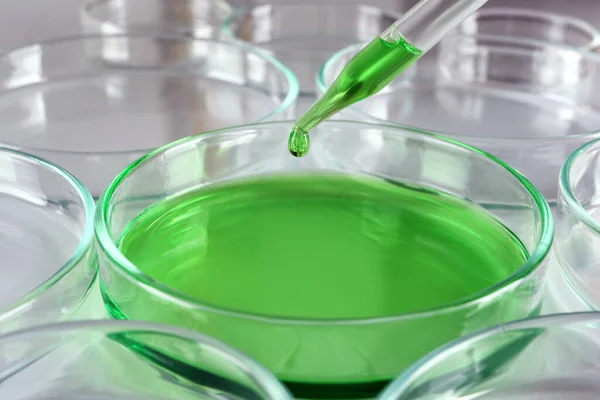 Réactif Vert Goutte Goutte Dans Une Boîte Pétri Avec Liquide — Photo