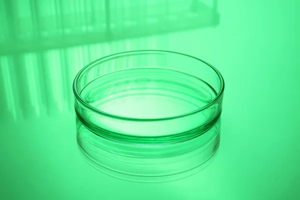 Boîte Pétri Avec Liquide Sur Table Tonique Vert — Photo