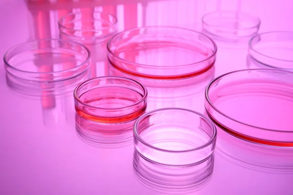Πιάτα Petri Υγρό Στο Τραπέζι Τονισμένα Ροζ — Φωτογραφία Αρχείου