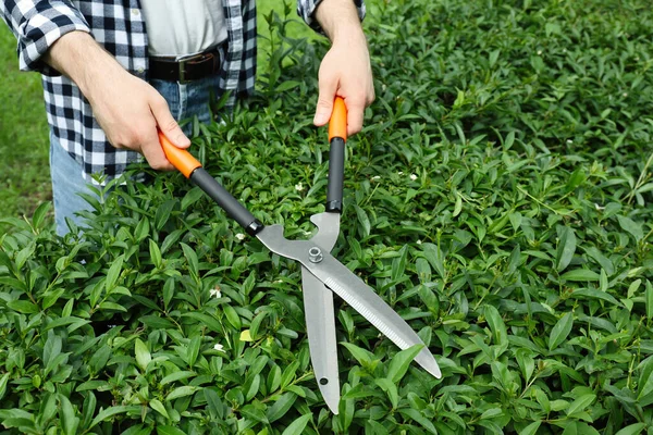 Arbeiter Schneiden Busch Mit Heckenschere Freien Nahaufnahme Gartenwerkzeug — Stockfoto