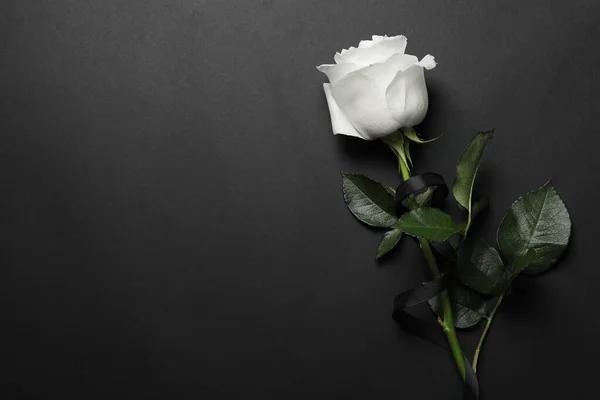 Gyönyörű Fehér Rózsa Fekete Szalaggal Sötét Háttéren Felülnézetből Szöveg Helye — Stock Fotó