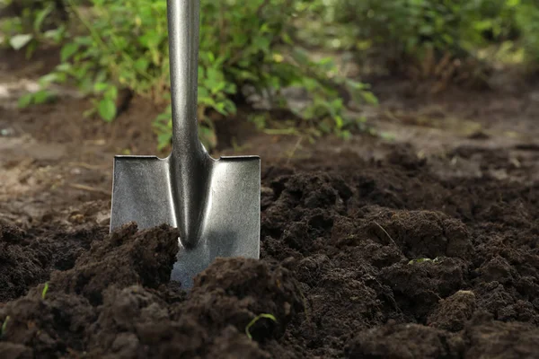 Pelle Dans Sol Extérieur Espace Pour Texte Outil Jardinage — Photo