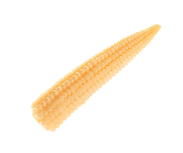 Świeże Kolby Kukurydzy Dla Niemowląt Izolowane Białym — Zdjęcie stockowe