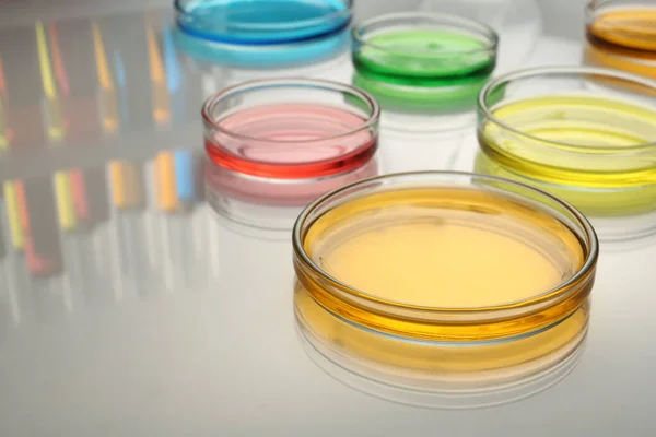 Pratos Petri Com Diferentes Amostras Coloridas Mesa Branca — Fotografia de Stock