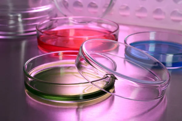 Masanın Üzerinde Renkli Örnekler Olan Petri Kapları — Stok fotoğraf