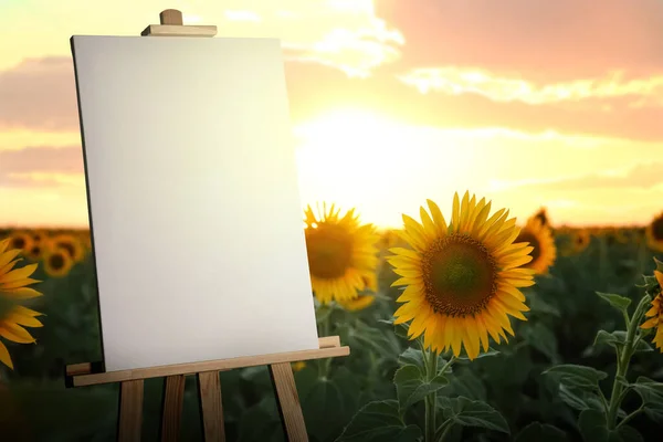Holzstaffelei Mit Leerer Leinwand Feld Mit Gelben Sonnenblumen Bei Sonnenuntergang — Stockfoto