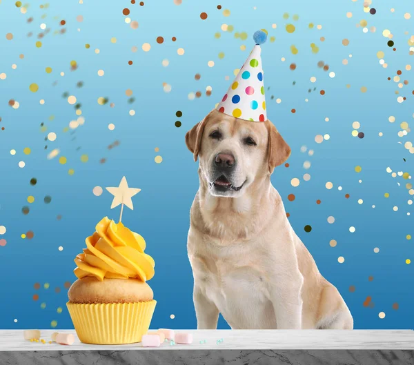Lindo Perro Con Sombrero Fiesta Delicioso Cupcake Cumpleaños Sobre Fondo — Foto de Stock