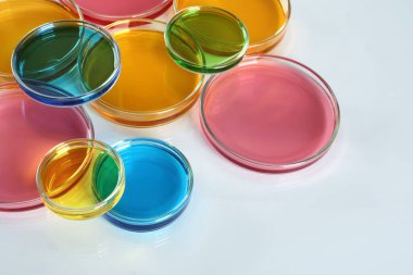 Beyaz masada farklı renkte örnekler bulunan petri kapları.