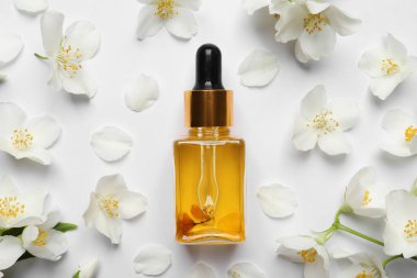 Yasemin esastır ve beyaz arka planda taze çiçekler, üst manzara