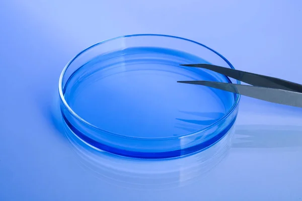 Πιάτο Petri Μπλε Υγρό Και Τσιμπιδάκι Λευκό Τραπέζι — Φωτογραφία Αρχείου