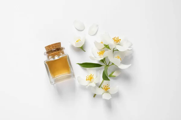 Jasmin Essentielle Und Frische Blumen Auf Weißem Hintergrund Draufsicht — Stockfoto
