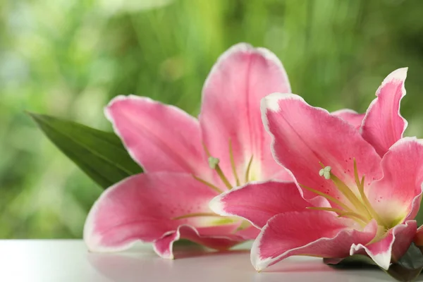 Schöne Rosa Lilienblüten Auf Dem Tisch Freien Nahaufnahme — Stockfoto