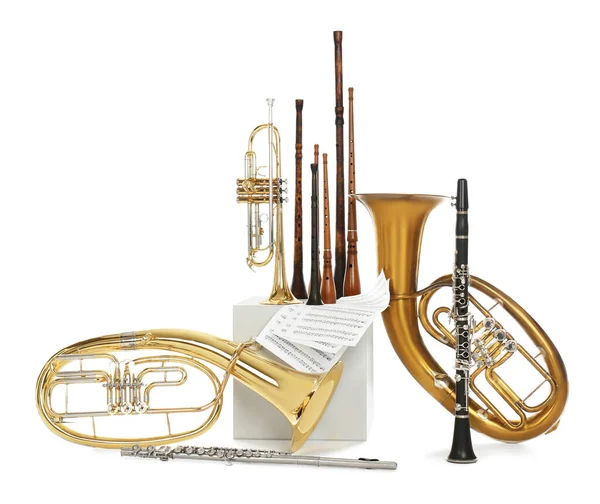 Conjunto Instrumentos Musicales Viento Sobre Fondo Blanco — Foto de Stock