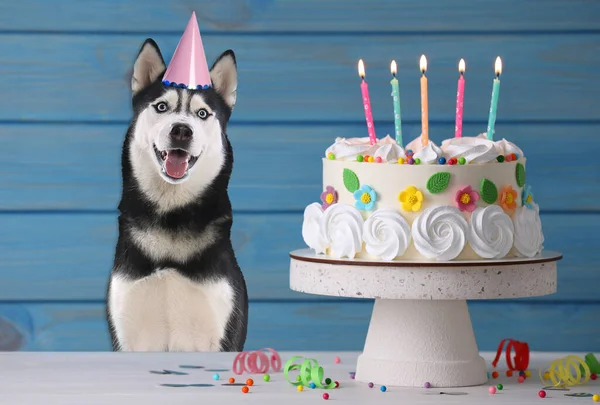 Lindo Perro Con Sombrero Fiesta Delicioso Pastel Cumpleaños Sobre Fondo —  Fotos de Stock