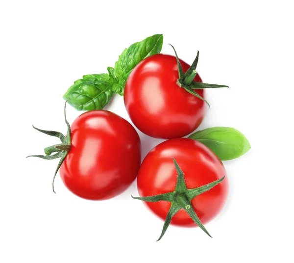 Verse Groene Basilicum Bladeren Tomaten Witte Achtergrond Bovenaanzicht — Stockfoto