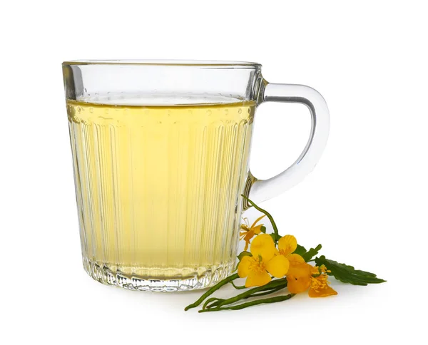 Glazen Kopje Aromatische Celandine Thee Bloemen Witte Achtergrond — Stockfoto