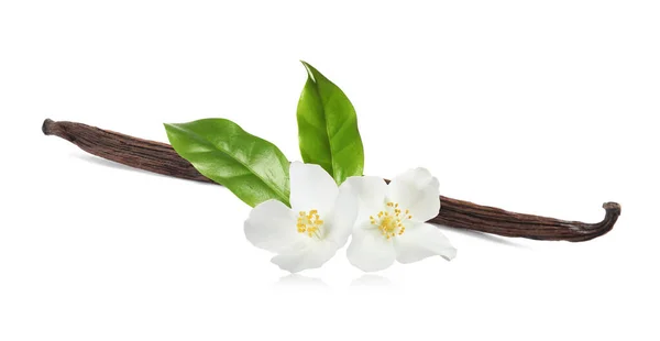 Suszony Aromatyczny Patyk Waniliowy Piękne Kwiaty Zielone Liście Białym Tle — Zdjęcie stockowe