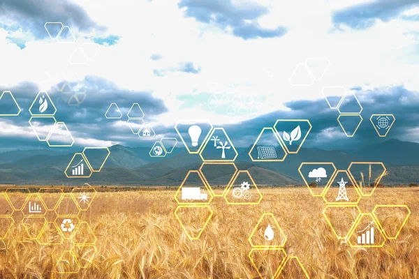 Digital eco icons and beautiful view of wheat field on cloudy sky
