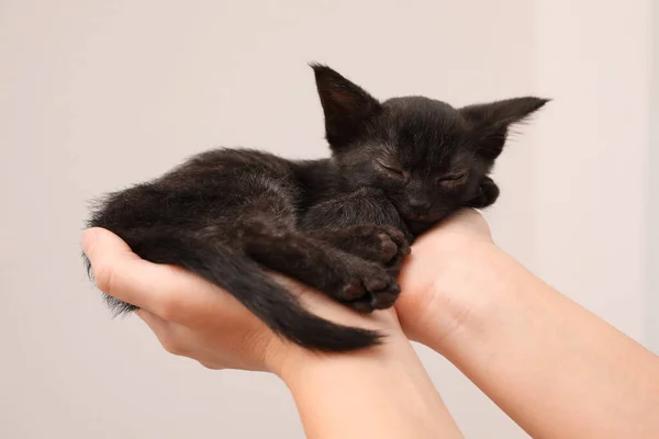 Mujer Sosteniendo Lindo Gatito Negro Sobre Fondo Claro Primer Plano — Foto de Stock