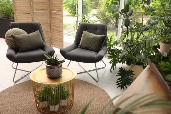 Интерьер Гостиной Удобными Креслами Комнатными Растениями — стоковое фото