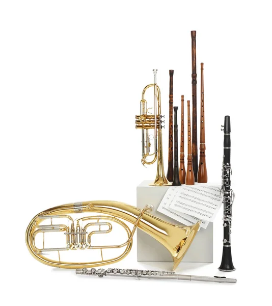 Conjunto Instrumentos Musicais Vento Sobre Fundo Branco — Fotografia de Stock