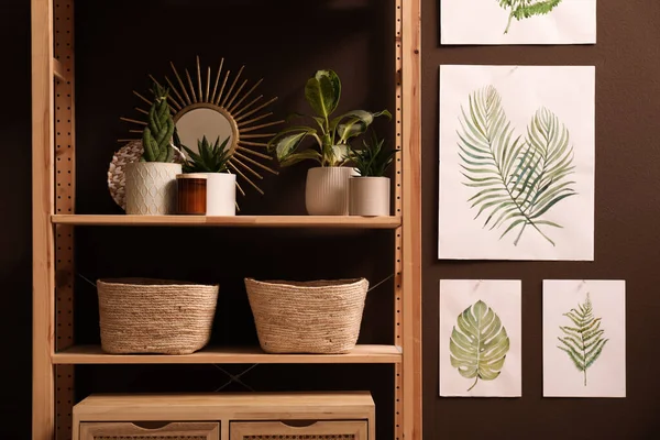 Bastidor Con Diferentes Decoraciones Plantas Interior Cerca Pared Marrón —  Fotos de Stock