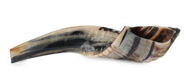 Shofar beyazdan izole edilmiş. Rosh Hashanah bayram sembolü
