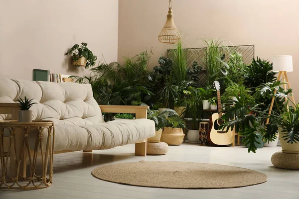 スタイリッシュな家具と異なる観葉植物とリビングルームのインテリア — ストック写真