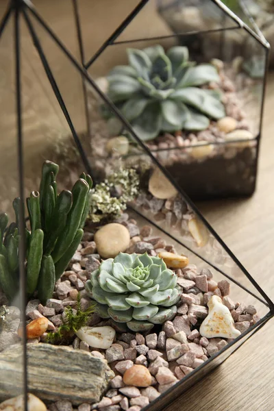 Vases Floraux Verre Avec Succulents Sur Table Bois Gros Plan — Photo