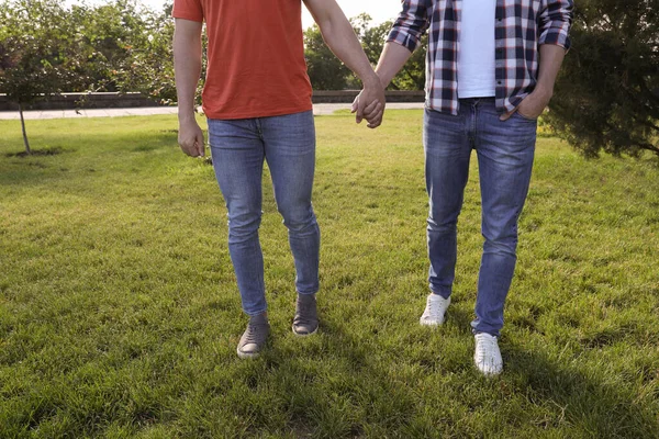 Gay Casal Andando Parque Ensolarado Dia Closeup — Fotografia de Stock
