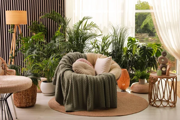 Intérieur Terrasse Intérieure Avec Chaise Papasan Doux Plantes Vertes — Photo