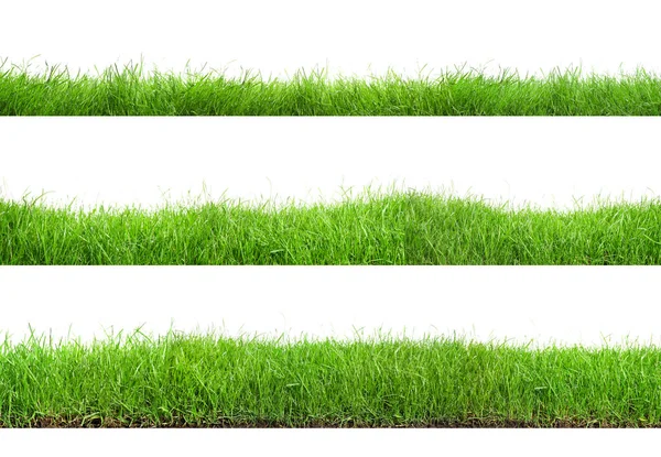 Mooi Weelderig Groen Gras Witte Achtergrond Collage — Stockfoto