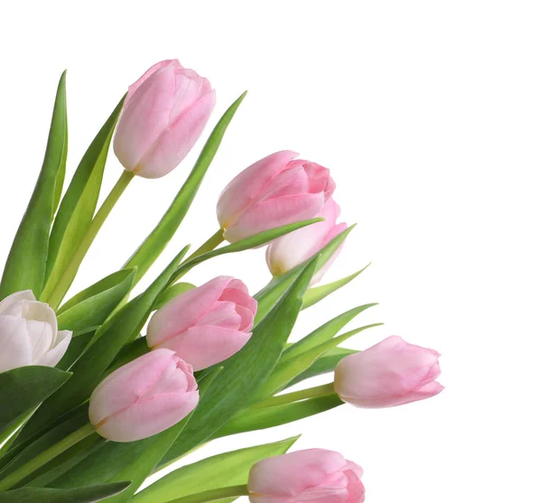Schöner Strauß Von Tulpen Isoliert Auf Weiß — Stockfoto