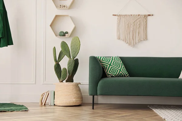 美しい鉢植えのサボテンとモダンな家具とスタイリッシュなリビングルームのインテリア — ストック写真