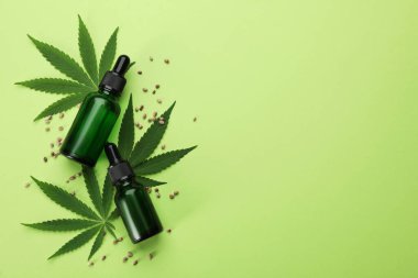Yeşil zemin üzerinde kenevir yaprakları, CBD yağı ve THC tentürü ile düz konum, metin için boşluk
