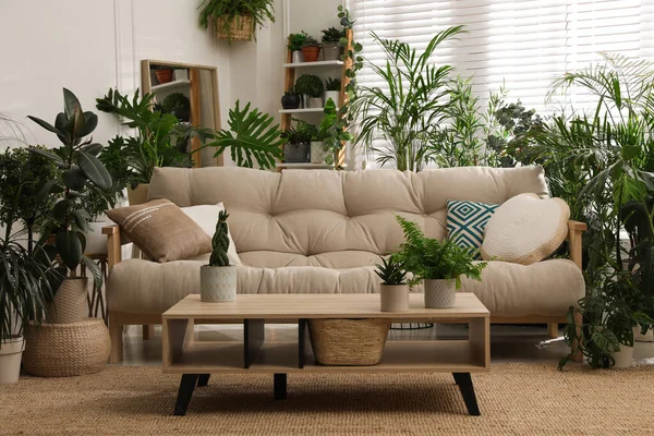 快適なソファと美しい鉢植えとスタイリッシュな部屋のインテリア ラウンジゾーン — ストック写真