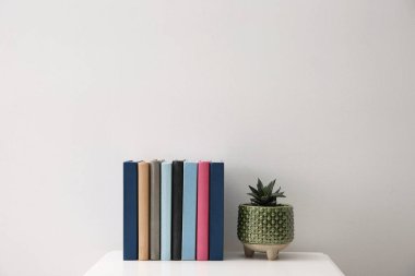 Beyaz duvarın yanındaki masada kitap ve bitki koleksiyonu. Metin için boşluk
