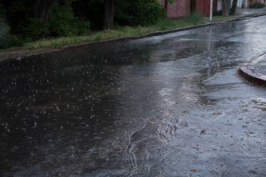 Şehir caddesinde sağanak yağmurun manzarası