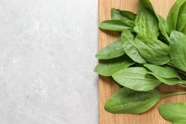 Geniş yapraklı muz yaprakları açık gri masada, üst tarafta. Metin için boşluk