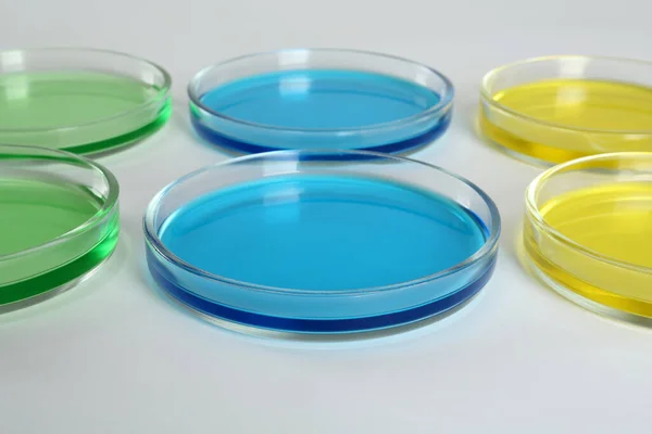 Pratos Petri Com Líquidos Coloridos Sobre Fundo Branco — Fotografia de Stock