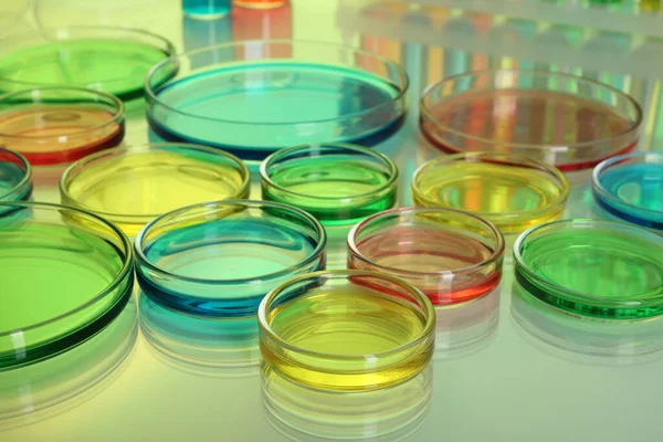 Pratos Petri Com Diferentes Amostras Coloridas Mesa — Fotografia de Stock
