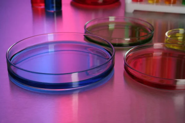 Petri Πιάτα Πολύχρωμα Δείγματα Στο Τραπέζι — Φωτογραφία Αρχείου