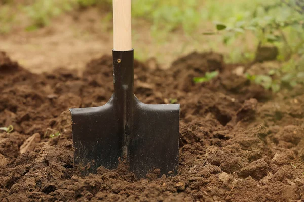 Pala Suelo Aire Libre Espacio Para Texto Herramienta Jardinería —  Fotos de Stock